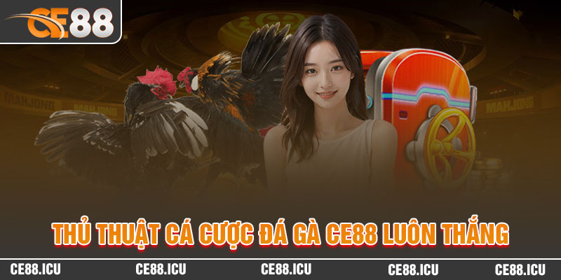 Thủ thuật cá cược Đá gà CE88 luôn thắng lớn